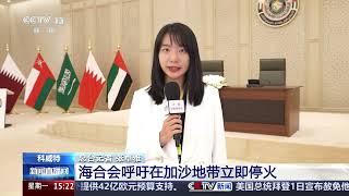 [新闻直播间]第45届海合会首脑会议举行 海合会呼吁在加沙地带立即停火 | 新闻来了 News Daily