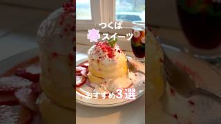 【つくば】つくばの春スイーツ3選🌸　#グルメ #カフェ #春スイーツ #茨城 #つくば