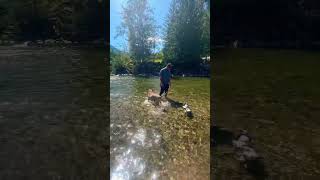 Hope, BC #dogadventures #lifewithdogs #happydogs #dogsarefamily #BCtravels #travel #peaceful