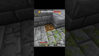 Moment Before Disaster #minecraft #shorts #minecraftshorts