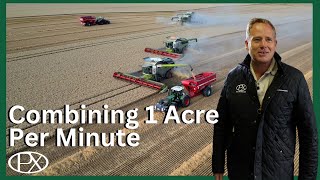 Four Combines, One Mission: Smashing Through the Wheat Before the Rain Hits!