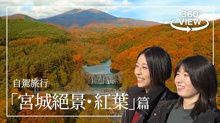 【360°影片】自駕旅遊 「宮城絕景・紅葉」篇