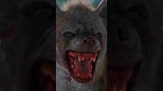 Leo Movie Scene #tamil #TamilmovieReview #action #superhit2023 #LeoTheLion #actionmovies #kollywood