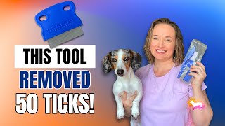 This Tool Removed 50 Ticks from My Dog | Flea and Tick Comb Review (Amazon Find)