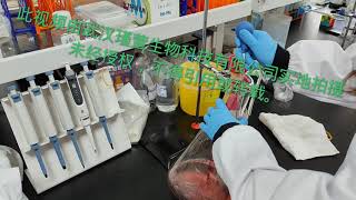 重组蛋白 瑾萱生物 Recombinant Protein,Antibody,Cro Service