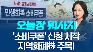 '민생회복 소비쿠폰' 신청 시작, 지역화폐株 주목!ㅣ 오늘장 뭐사지?  |  임주아  250721