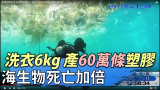 ▼微塑膠毒害 海生物後代死亡率高 八大民生新聞 2020122107