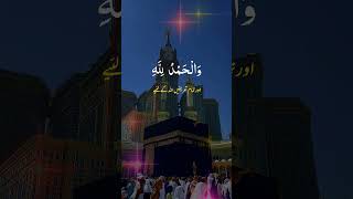 sarkar ka naukar hu koi aam nhi hu #mohammadﷺ #islamicstatus #jihaad #imamqasim #murshid #shaikh