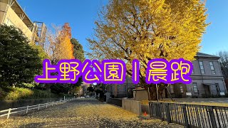 東京｜上野公園｜晨跑