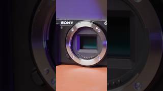 Sony ZV-E10 or A7III? 📸 #shorts