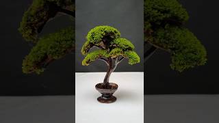 Coconut Shell Creativity | Unique Craft Ideas 🥥🥥🥥 #shorts #diy #coconutshellcraft #ideas