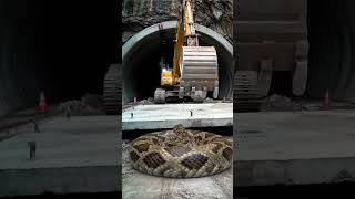 #excavator #bulldozer #excavatorvideos  #heavyequipment  #digger  #excavatorwork #construction