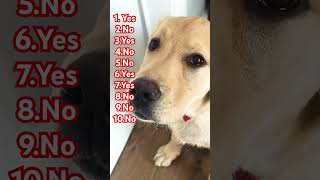 Spoiled pet test pt 1