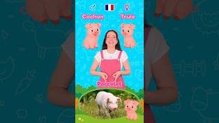 The Animal Families in French 3 🇫🇷 #learning #kids #beginners #education #toddlers