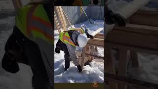 One Daily Smile | #shortvideo #funnyclips #comedycentral #LaughDaily #SmileTime