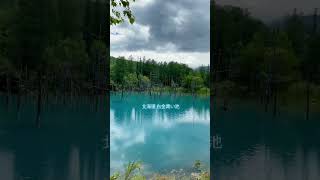 北海道美瑛白金青池                 Shirogane Blue Pond, Biei Hokkaido