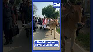 #Shorts | Haryana CM Nayab Singh Saini Travels By Bullock Cart | BJP Congress | Assembly Elections