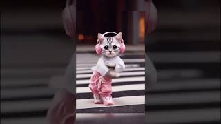 😃😃😃😄🤩.#trending #aicatsong alcat #aiview #Growth #explore #trendding trendindreels #musicvideo