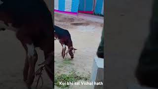koi Vishal Vishal hot