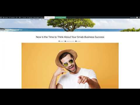 Build a News Portal Website In 1 Hour | WordPress | Newspaper11