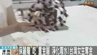 保麗龍大變身 大學生贏世界知財金牌