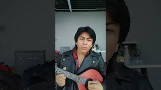 爱弹吉他#沙鲁克汗 #模仿#同城热门