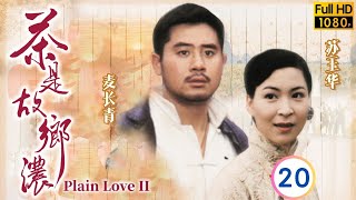 TVB乡土剧在线看 | 茶是故乡浓 20/32 | 元华(彪)离去后，英到庙清静数日 | 林家栋 | 张可颐 | 苏玉华 | 麦长青 | 粤语简中 | 1999