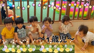 【保育園】生活の流れができてきた1歳児