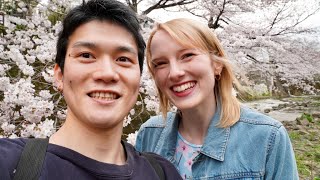 6 Steps to Enjoy Cherry Blossoms in Japan