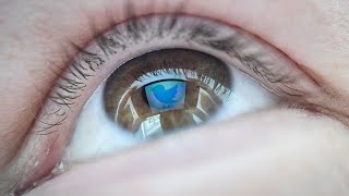 Twitter CFO Says Advertiser Sentiment Remains Strong