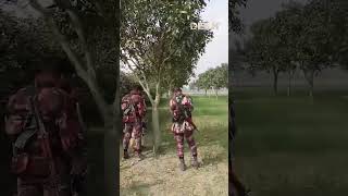 সীমান্তে মুখোমুখি বিজিবি-বিএসএফ! #bgb #bsf #border #deshtv #shorts