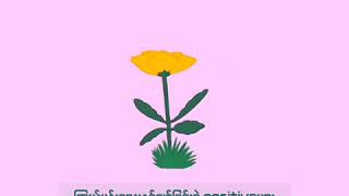ကြယ်ပန်းလေးနှင့်ချစ်ခြင်းရဲ့positiveများ - Floke Rose × Adjustor
