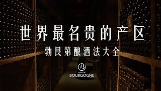 为什么这个产区的酒能单瓶上万：勃艮第酿酒工艺 How to Produce Prestigious Wine: Winemaking in Burgundy