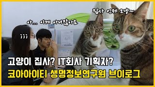 냥집사의 이중생활 / IT 회사 생명정보연구원 브이로그