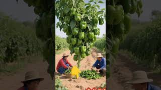 #funny #duet #comedy #grow #farming #fouryoupage #viralvideo #kishan #देख #1kcreator