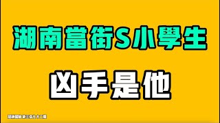 最新突發，湖南當街X小學生，兇手是他！南京照相館直接成了全國小學生作業，全變潛在暴力狂？中共一定會搞砸每件事定律，育兒補貼出來，中國生育可能不增反降？七七叭叭TALK『提神醒腦372』20250804