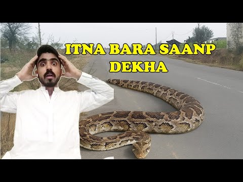 Bike Seekh Rahe Thay… Saanp Aa Gaya😱🐍