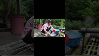 Husband Wife's Journey From 2011 - 2024#lýthịca #harvesting #passionfruit
