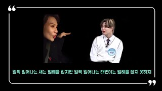 [샤이니 태민 브이라이브] 일찍 일어나는 새는 벌레를 잡지만 일찍 일어나는 태민이는 벌레를 못 잡지