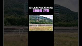 실시간으로 박살나고 있다는 대학들 근황