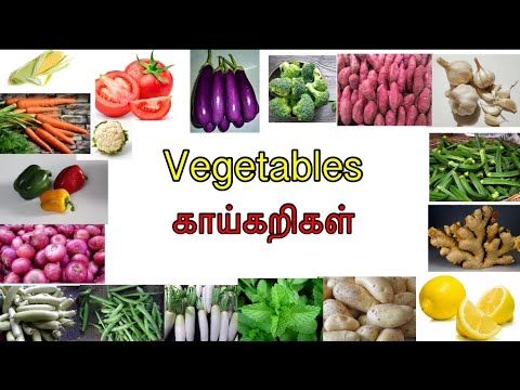 காய்கறிகளின் பெயர்கள்/ Vegetables names in English and Tamil with pictures/ Learning vegetables