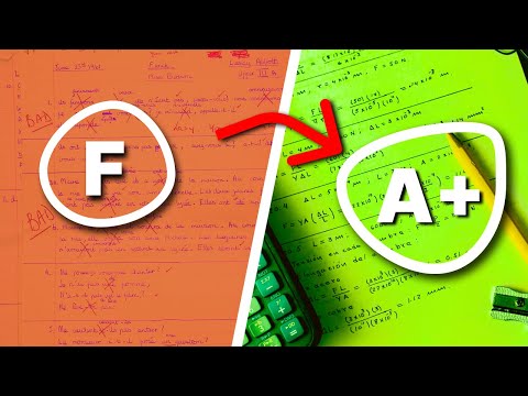 Level Up Your Grades - Learning with Vortique