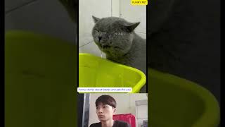 # 1 Funny stories about babies and pets for you #PetComedy #AnimalsAndKids #CatFail #Shorts