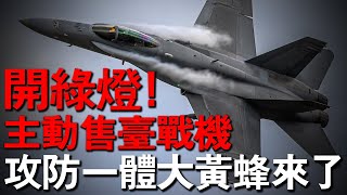 臺灣ADF遲遲無法提前發布，美國主動伸出援手了！自發提議出售攻防兩種艦載機超級大黃蜂，臺防務會不會接手？