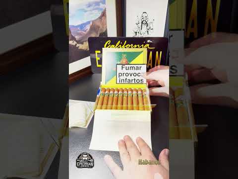 Montecristo Open Junior Unboxing | 2010 Vintage Cuban Cigar