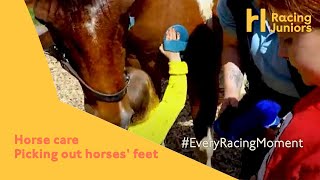 All about horses : Horse care | HRI Racing Juniors | Picking out horses' feet