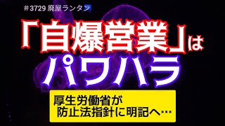 ＃3729 「自爆営業」はパワハラ、厚生労働省が防止法指針に明記へ…企業へ対策促す            2024.11.27.