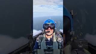 Do you know why the Blue Angels do a pre-flight “chair flight “?👍👍🫡🫡#aviation #navy #usa #f18