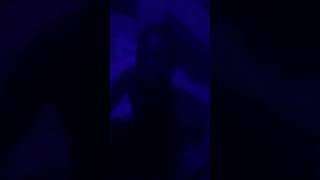 Favourite Song Freestyle