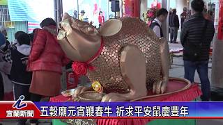 五穀廟元宵鞭春牛 祈求平安鼠慶豐年